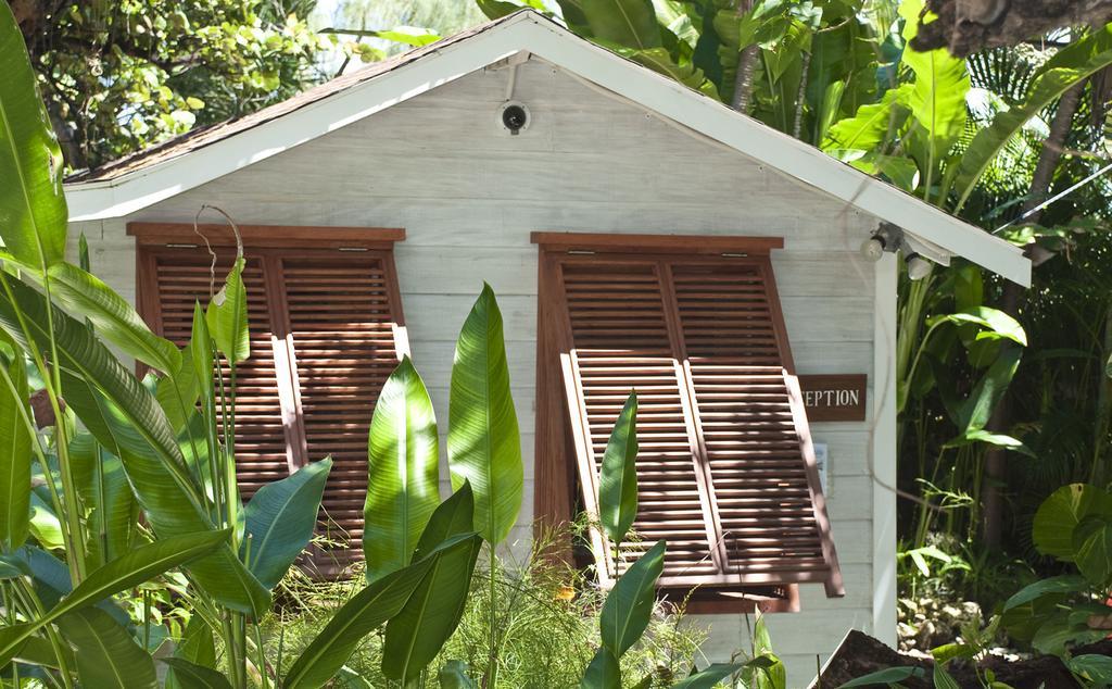 Eco Lifestyle And Lodge Bathsheba Exteriér fotografie
