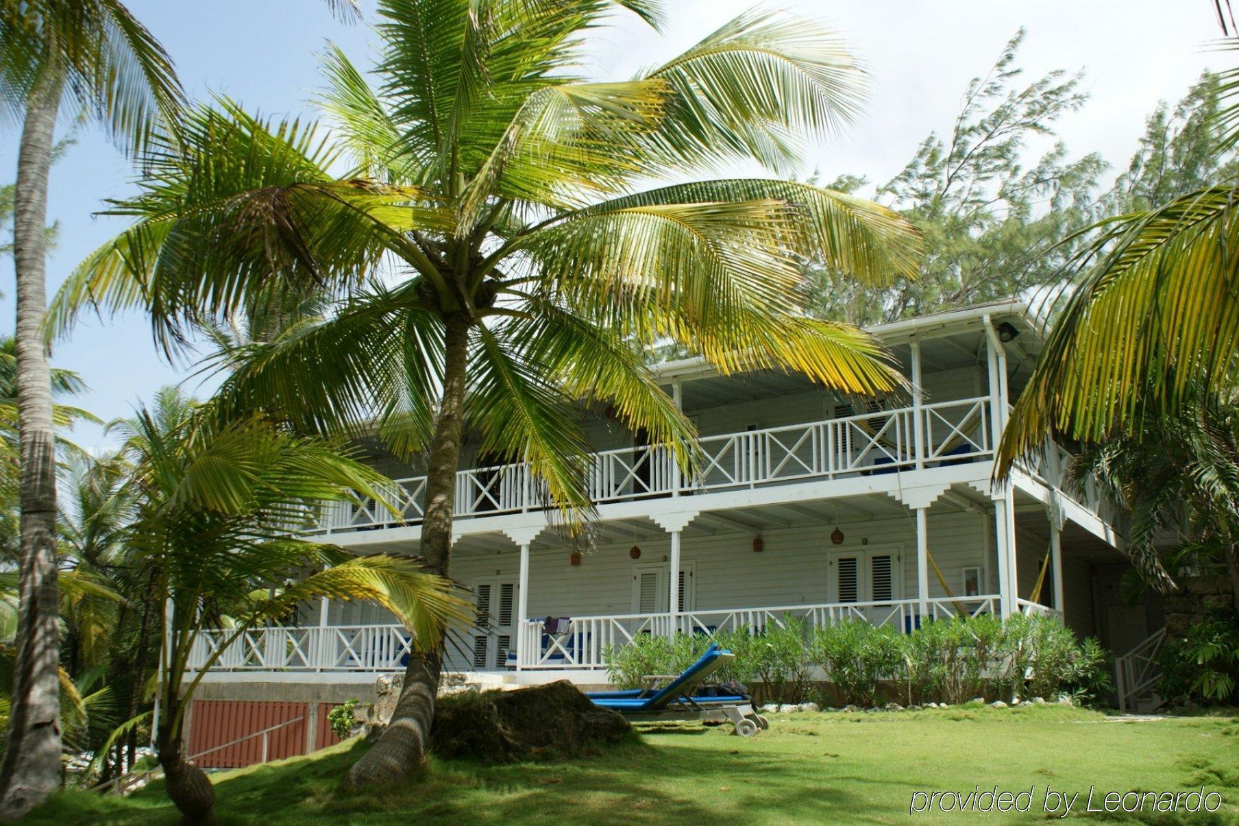 Eco Lifestyle And Lodge Bathsheba Exteriér fotografie