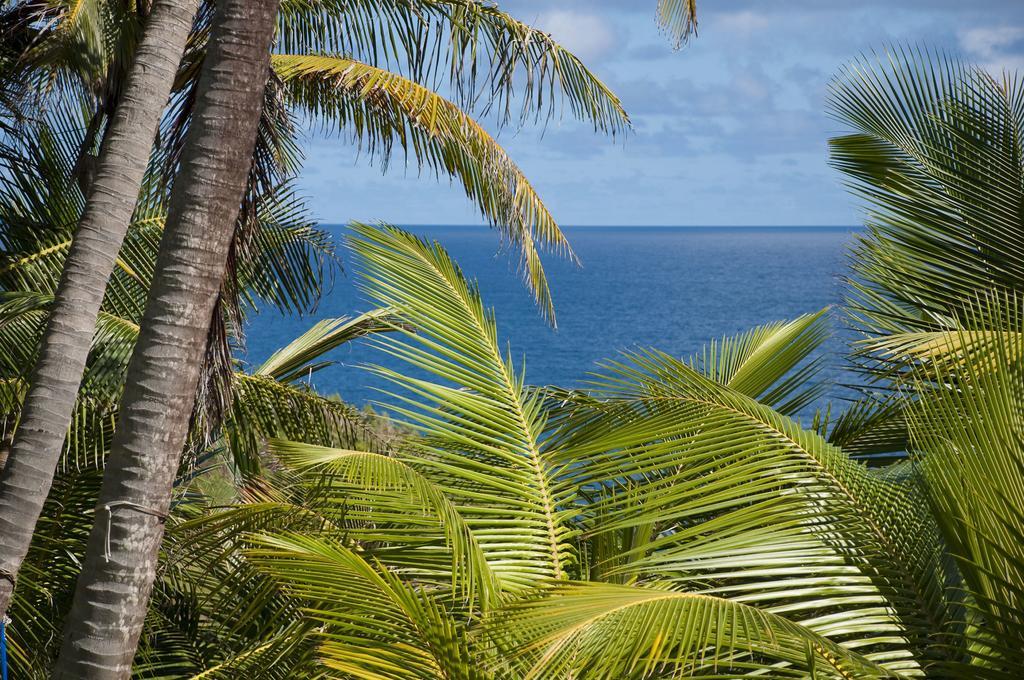 Eco Lifestyle And Lodge Bathsheba Exteriér fotografie