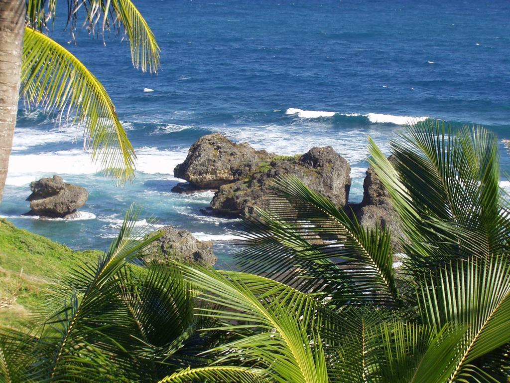 Eco Lifestyle And Lodge Bathsheba Exteriér fotografie