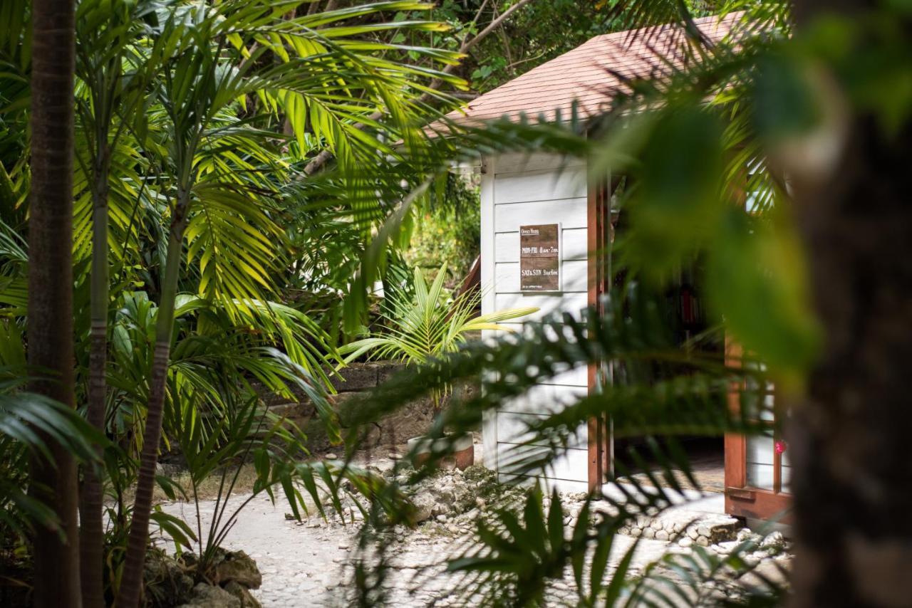 Eco Lifestyle And Lodge Bathsheba Exteriér fotografie