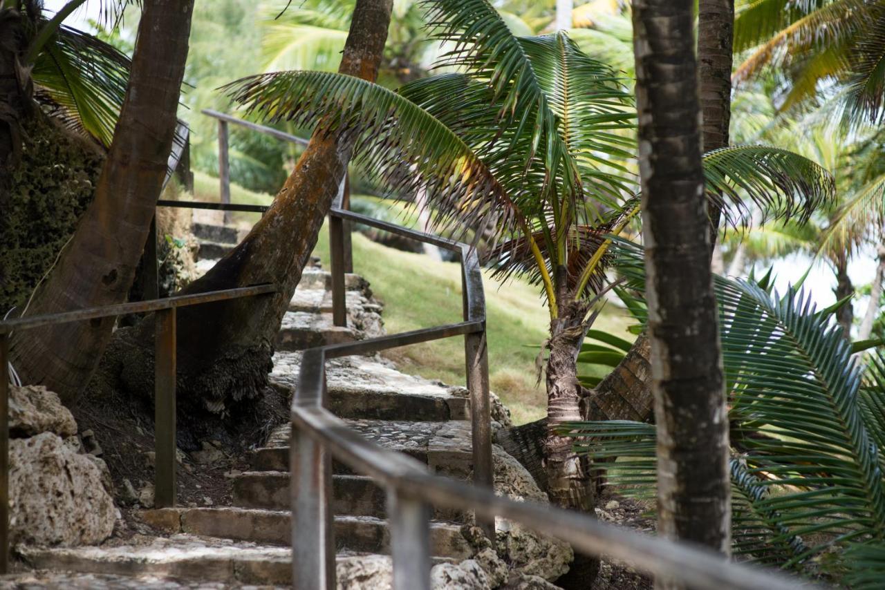 Eco Lifestyle And Lodge Bathsheba Exteriér fotografie