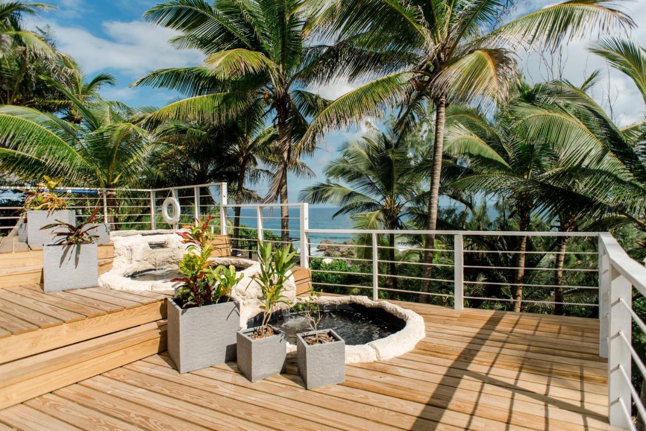 Eco Lifestyle And Lodge Bathsheba Exteriér fotografie